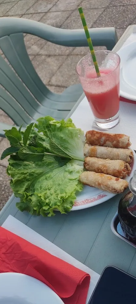Chicken Spring Roll
